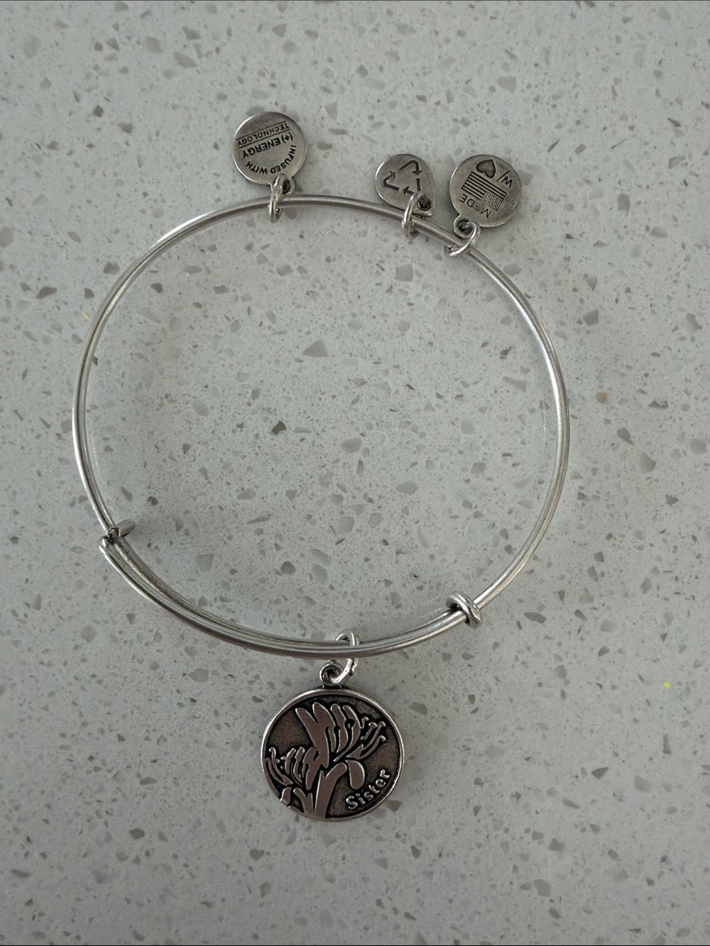 Alex and Ani Silver Sister Bengal